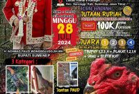 Flayer Kontes Ayam Hias Shamo Piala Bupati Sumenep 2024