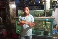 Foto: Herman Hidayat, pemilik Arowana Super Red