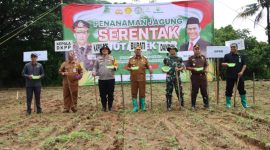 Foto: Forkopimda Kabupaten Sumenep gelar penanaman jagung serentak di desa Ellak Daya, Kecamatan Lenteng 