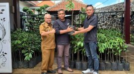 Foto: PT Empat Sekawan Mulia menyalurkan 800 bibit durian kepada masyarakat 