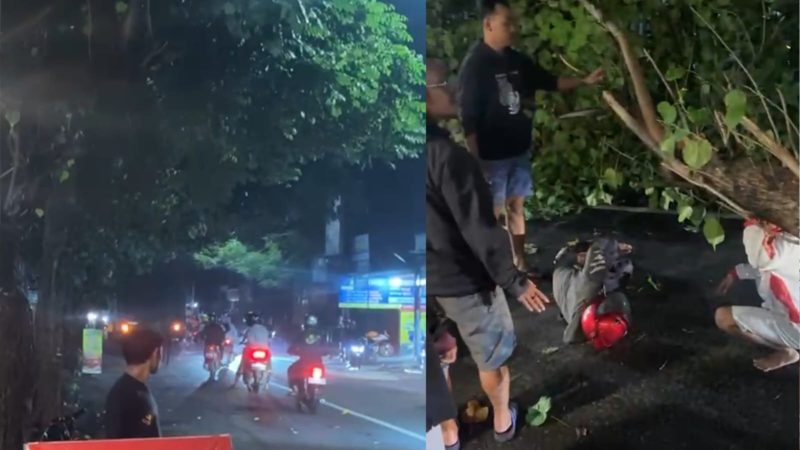 Potret lokasi terjadinya kecelakaan akibat pohon tumbang 