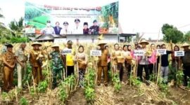 Foto : Wakil Bupati Blitar Beky Herdihansyah saat panen raya jagung.