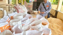 Foto : Petani desa Larangan, Kecamatan Ganding,  Kabupaten Sumenep, Jawa Timur, Ahmad Quzairi
