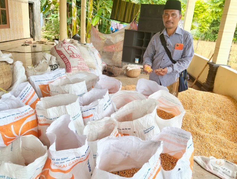 Foto : Petani desa Larangan, Kecamatan Ganding,  Kabupaten Sumenep, Jawa Timur, Ahmad Quzairi