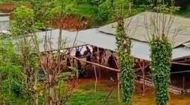 Foot : Lokasi perjudian sabung ayam yang digerebek Polres Sampang 
