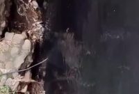 Foto : Aliran sungai menuju ke laut Dringu berubah hitam pekat