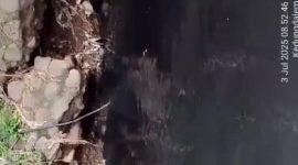 Foto : Aliran sungai menuju ke laut Dringu berubah hitam pekat