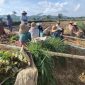Foto : Petani Tembakau di Kecamatan Guluk- guluk Sumenep 