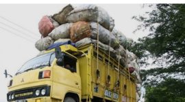 Potret nyata truk overload di Pelabuhan Batuguluk yang akan naik ke kapal. Praktik ini disebut warga sebagai bukti lemahnya pengawasan otoritas terkait.
