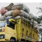 Potret nyata truk overload di Pelabuhan Batuguluk yang akan naik ke kapal. Praktik ini disebut warga sebagai bukti lemahnya pengawasan otoritas terkait.

