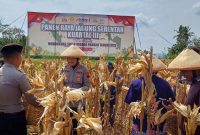 Kapolres Semarang memimpin panen raya jagung di Desa Lemahireng