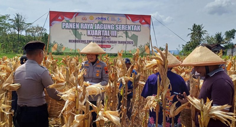 Kapolres Semarang memimpin panen raya jagung di Desa Lemahireng