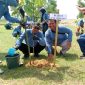 Bupati Sumenep Achmad Fauzi Wongsojudo menanam bibit pohon di kawasan TPA Tanonggul, Desa Torbang, Kecamatan Batuan, sebagai bagian dari program penghijauan DLH Sumenep bekerja sama dengan Medco Energi Madura, Selasa (02/12/2025).