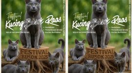Ayo datang dan dukung Festival Kucing Busok Raas 2025! Nikmati hiburan seru sekaligus belajar merawat kucing lokal khas Sumenep