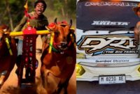 dalam menjaga dan melestarikan kebudayaan Madura melalui kegiatan Kerapan Sapi.