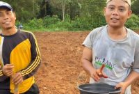 Petani Milenial Sumenep tengah menanam benih jagung hibrida BISI 2 di Desa Torbang, Kecamatan Batuan. Kegiatan ini dilakukan dengan sistem jajar legowo untuk meningkatkan produktivitas pertanian sekaligus mendukung ketahanan pangan daerah.