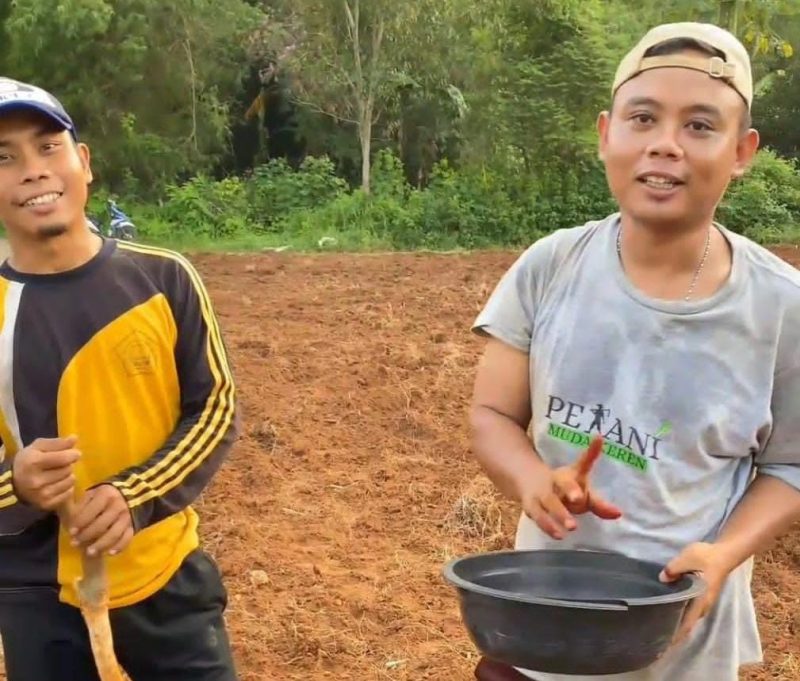 Petani Milenial Sumenep tengah menanam benih jagung hibrida BISI 2 di Desa Torbang, Kecamatan Batuan. Kegiatan ini dilakukan dengan sistem jajar legowo untuk meningkatkan produktivitas pertanian sekaligus mendukung ketahanan pangan daerah.
