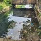 Kondisi Kali Lingkar Timur di belakang warung ikan bakar Talangan tampak dipenuhi sampah plastik dan limbah berpotensi menyumbat aliran air di musim hujan