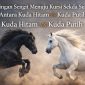 Keterangan Foto:
Ilustrasi simbolik persaingan seleksi Sekda Sumenep 2026 antara figur Kuda Hitam dan Kuda Putih. Dua kuda ini menggambarkan dinamika kompetisi birokrasi, di mana publik menantikan sosok pemimpin yang mampu mengorkestrasi pemerintahan dengan stabil, konsisten, dan efektif.