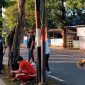 Oplus_16908288