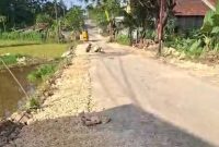 Jalan rusak bertahun-tahun di Tambelangan membuat warga terpaksa memperbaiki sendiri dengan tenaga dan dana terbatas.