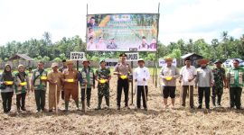 Kapolres Sumenep AKBP Anang Hardiyanto bersama jajaran TNI, DKPP, dan petani melakukan penanaman padi dan jagung hibrida secara simbolis di Desa Legung Barat, Kecamatan Batang-Batang, sebagai bagian dari Gerakan Percepatan Tanam menghadapi El Nino.