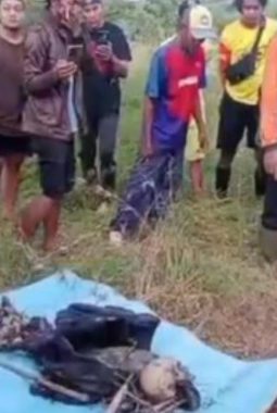 berita-rekomendasi-foto