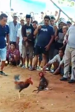 berita-rekomendasi-foto
