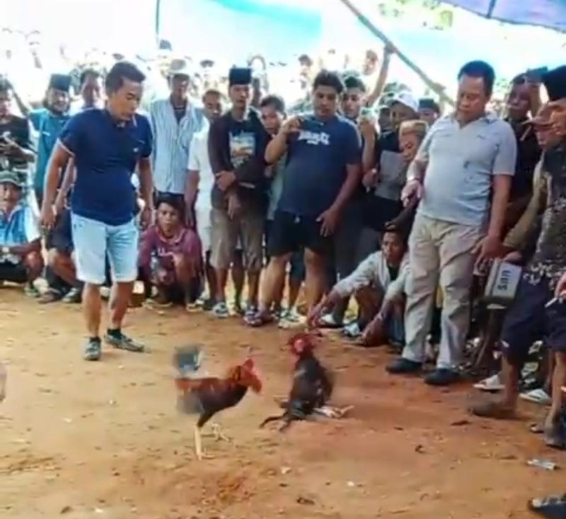Ket foto: Tangkapan layar yang diduga menunjukkan aktivitas sabung ayam di Dusun Barek Sabe, Desa Torjunan, Kecamatan Robatal, Sampang.