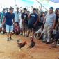 Ket foto: Tangkapan layar yang diduga menunjukkan aktivitas sabung ayam di Dusun Barek Sabe, Desa Torjunan, Kecamatan Robatal, Sampang.