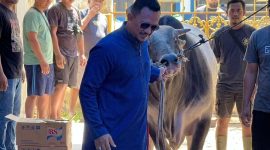 Founder BIP Foundation, Ali Zainal Abidin, saat menggiring sapi kurban jumbo berbobot 1,05 ton yang dipersembahkan khusus untuk almarhumah ibunda Ainun dan keluarga tercinta pada momentum Hari Raya Iduladha 1447 Hijriah/2026 Masehi.