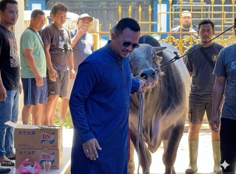 Founder BIP Foundation, Ali Zainal Abidin, saat menggiring sapi kurban jumbo berbobot 1,05 ton yang dipersembahkan khusus untuk almarhumah ibunda Ainun dan keluarga tercinta pada momentum Hari Raya Iduladha 1447 Hijriah/2026 Masehi.