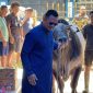 Founder BIP Foundation, Ali Zainal Abidin, saat menggiring sapi kurban jumbo berbobot 1,05 ton yang dipersembahkan khusus untuk almarhumah ibunda Ainun dan keluarga tercinta pada momentum Hari Raya Iduladha 1447 Hijriah/2026 Masehi.