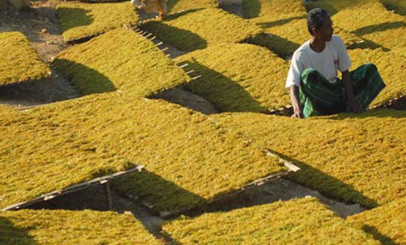 Dorongan pembentukan KEK Tembakau di Madura kian menguat sebagai upaya mengakhiri ketimpangan ekonomi yang selama ini dirasakan masyarakat.