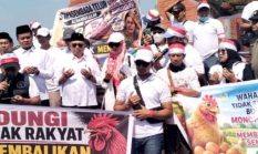 berita-pilihan-foto