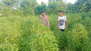 Bhabinkamtibmas Torjek Polres Sumenep Turun ke Lahan Warga, Sosialisasikan Pekarangan Pangan Bergizi