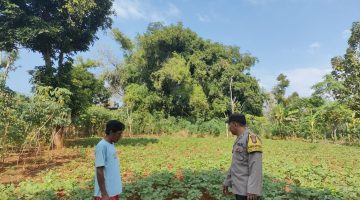 Sambangi Petani, Bhabinkamtibmas Essang Sumenep Gaungkan Program P2B