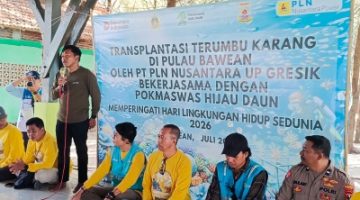 PLN Nusantara Power UP Gresik Bersama Pokmaswas Hijau Daun dan Pokdarwis Sejahtera Gili Transplantasi Terumbu Karang di Bawean Gresik