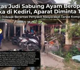 berita-rekomendasi-foto