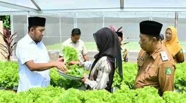 Bupati Sumenep Achmad Fauzi Wongsojudo didampingi Kepala DKPP Chainur Rasyid meninjau budidaya sayuran hidroponik di IRA Farm, Desa Ketawang Laok, Kecamatan Ganding, sebagai bagian dari upaya mendorong transformasi pertanian modern berbasis teknologi untuk memperkuat ketahanan pangan dan meningkatkan kesejahteraan petani.