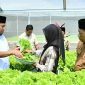 Bupati Sumenep Achmad Fauzi Wongsojudo didampingi Kepala DKPP Chainur Rasyid meninjau budidaya sayuran hidroponik di IRA Farm, Desa Ketawang Laok, Kecamatan Ganding, sebagai bagian dari upaya mendorong transformasi pertanian modern berbasis teknologi untuk memperkuat ketahanan pangan dan meningkatkan kesejahteraan petani.