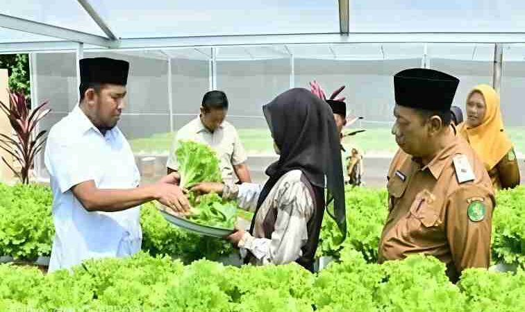 Bupati Sumenep Achmad Fauzi Wongsojudo didampingi Kepala DKPP Chainur Rasyid meninjau budidaya sayuran hidroponik di IRA Farm, Desa Ketawang Laok, Kecamatan Ganding, sebagai bagian dari upaya mendorong transformasi pertanian modern berbasis teknologi untuk memperkuat ketahanan pangan dan meningkatkan kesejahteraan petani.