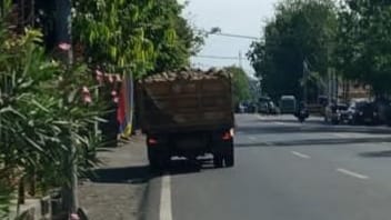 Foto: Truk tambang melintas di jalan raya pantura, Kabupaten Probolinggo, tanpa penutup terpal muatan.