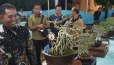 Dandim 0827/Sumenep Letkol Inf. Citra Persada secara resmi membuka Pameran dan Kontes Bonsai Lokal Terbuka se-Jawa Timur di Desa Tengedan, Kecamatan Batuputih, Kabupaten Sumenep, yang diikuti ratusan peserta dan menampilkan 635 bonsai terbaik dari berbagai daerah.