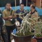 Dandim 0827/Sumenep Letkol Inf. Citra Persada secara resmi membuka Pameran dan Kontes Bonsai Lokal Terbuka se-Jawa Timur di Desa Tengedan, Kecamatan Batuputih, Kabupaten Sumenep, yang diikuti ratusan peserta dan menampilkan 635 bonsai terbaik dari berbagai daerah.