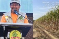 Desak Pemerintah Segera Naikkan HPP Jadi Rp16.875 per Kg, DPN APTRI Ancam Kerahkan Petani Tebu Demo di Istana (foto kolase: Bimo Detikzone)