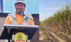 berita-pilihan-foto