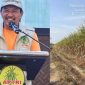 Desak Pemerintah Segera Naikkan HPP Jadi Rp16.875 per Kg, DPN APTRI Ancam Kerahkan Petani Tebu Demo di Istana (foto kolase: Bimo Detikzone)