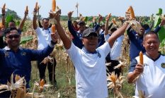 berita-pilihan-foto