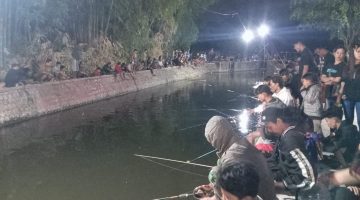 Semarak HUT RI ke-81, Warga RW 03 Kelurahan Bawang Kediri Tebar 8 Kwintal Lele, Ratusan Peserta Serbu Sungai Centong untuk Mancing Bareng